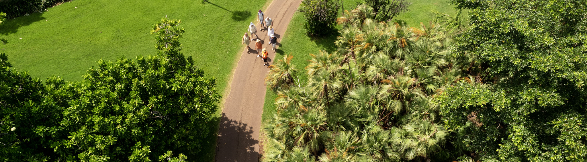 Botanic Gardens.png
